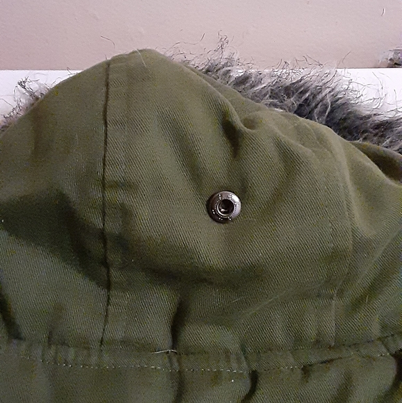 Dog winter jacket - Picture 6 of 7